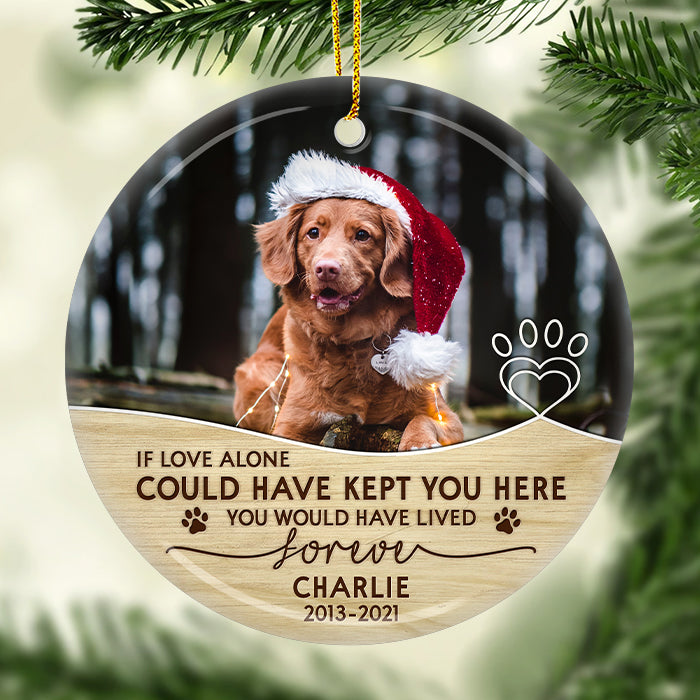 Custom Pet Memorial Ceramic Ornament - You Would Have Lived Forever | Personalized Photo Gift Main image