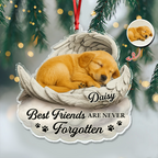 Custom Photo You Would Have Lived Forever - Pet Memorial Acrylic Ornament