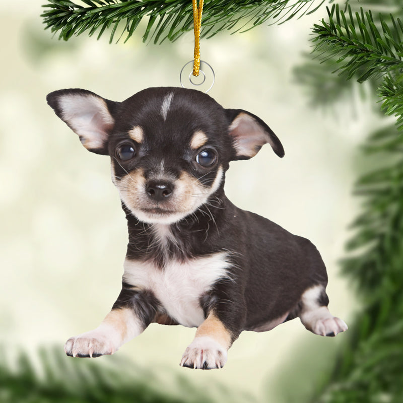 Custom Photo Acrylic Ornament - There's No Place Like Home For The Holidays | Personalized Gift