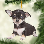 Custom Photo Acrylic Ornament - There's No Place Like Home For The Holidays | Personalized Gift