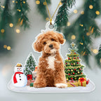 Custom Photo Dog Cat - Christmas Acrylic Ornament With Festive Design