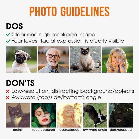 I Work Hard So My Dog Can Have A Better Life - Raglan Hoodie